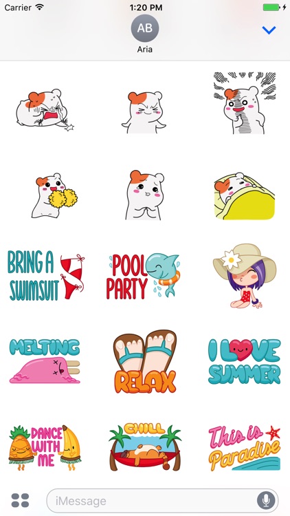 Animated Black Cat, Hamster, Summer Things Sticker screenshot-3