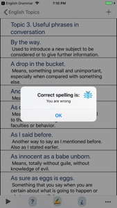 English Offline Audio Topics screenshot #8 for iPhone