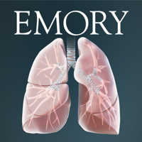 Surgical Anatomy of the Lung