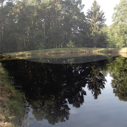 Angeln am grossen Moore