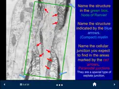 Histology Complete -SecondLook iPad image 4