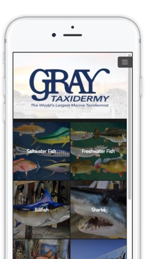 Gray Taxidermy(圖1)-速報App