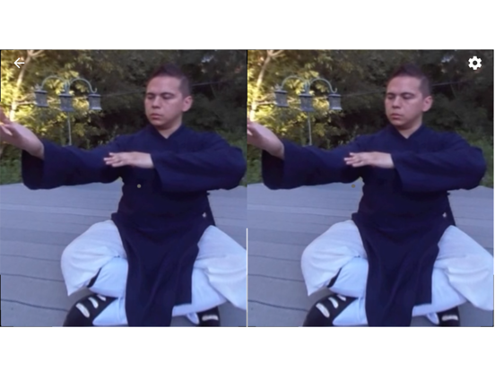 Tai Chi Trainer XR iPad screenshot 7 - Health & Fitness app