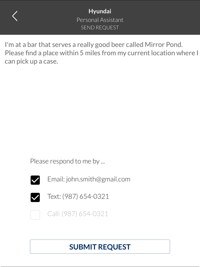 Hyundai Personal Assistant