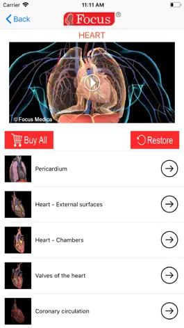 Game screenshot HEART -  Digital Anatomy apk