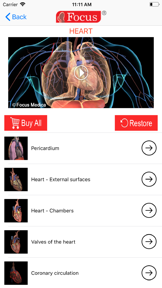 HEART -  Digital Anatomy screenshot