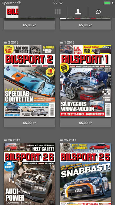 Bilsport screenshot 2