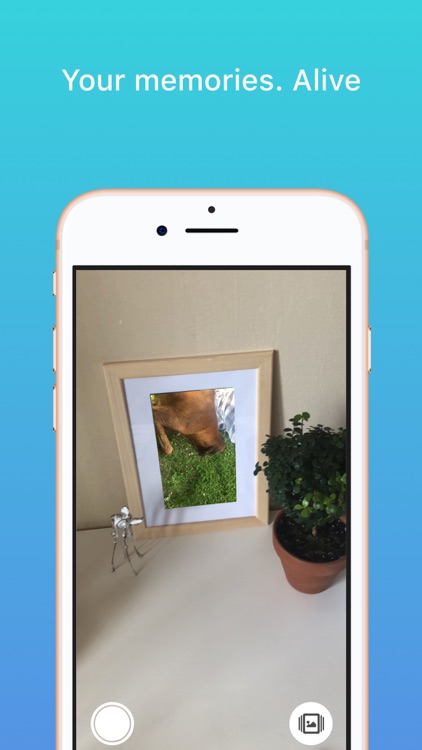 MemoAR screenshot-3