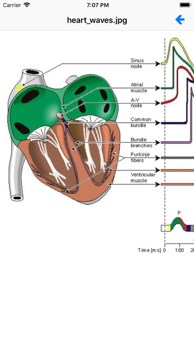 EKG Academyのおすすめ画像3