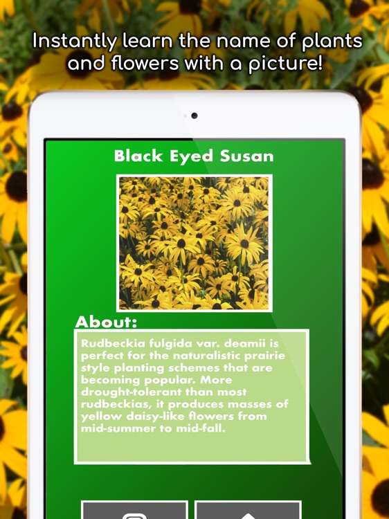 plantsnap-plant-id-for-ipad-by-free-apps-llc