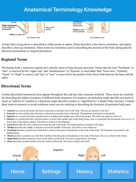 Anatomical Terminology