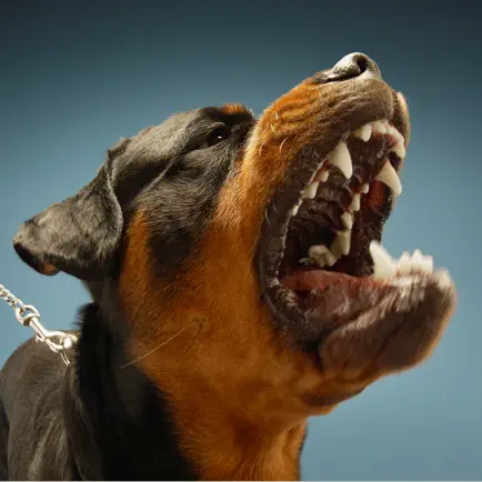 Dog Sounds! Читы