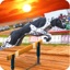 Dog Racer Simulation 2017