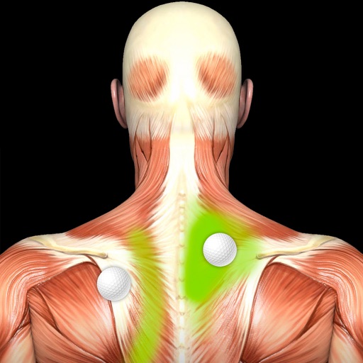 eliminar Muscle Trigger Points: Guide & Reference