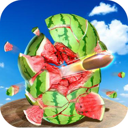 Watermelon Hit Target icon