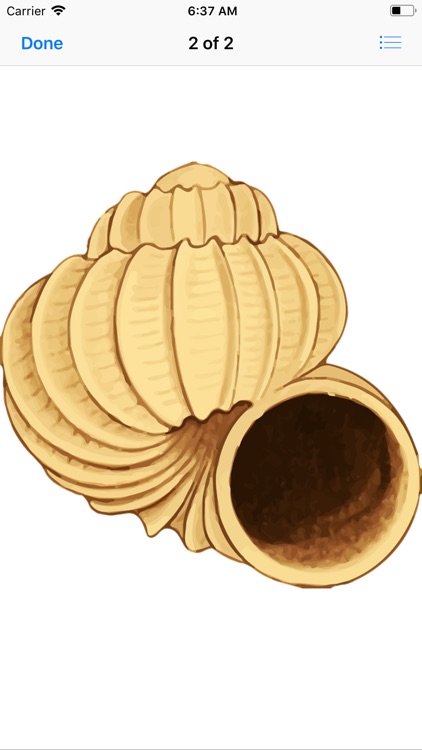 Seashell Stickers screenshot-5