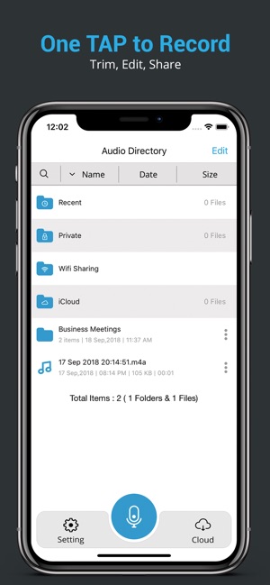Recorder Pro : Voice Memo