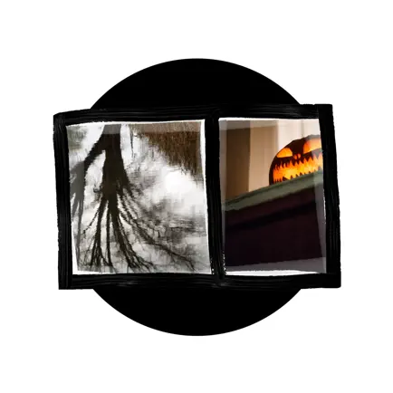 Dualphoto Creator Читы