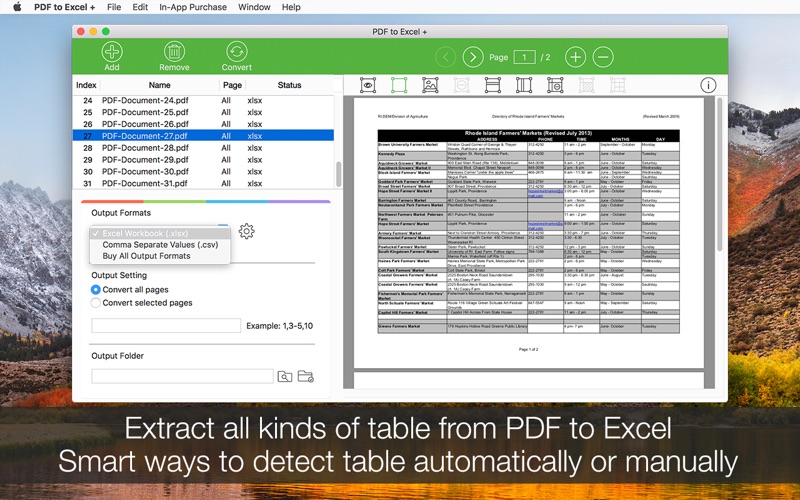 PDF to Excel +