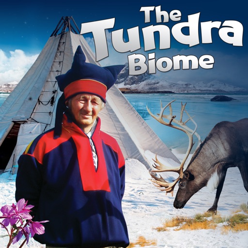 Tundra Biome icon