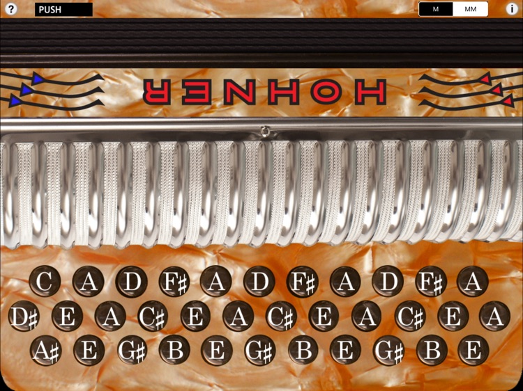 Hohner-EAD Xtreme SqueezeBox