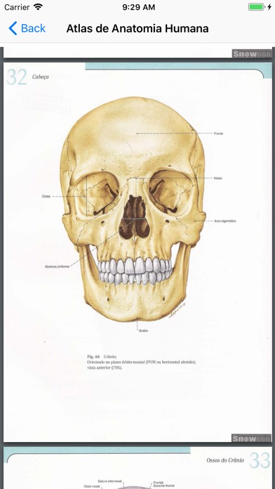 Human Anatomy Atlas screenshot 4