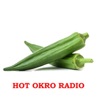 HOT OKRO RADIO