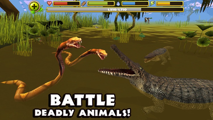 Wildlife Simulator: Crocodile screenshot-4