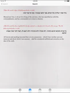 No Chametz iPad image 4