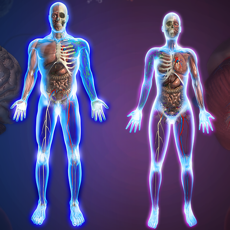 Activities of Exámenes del Cuerpo Humano