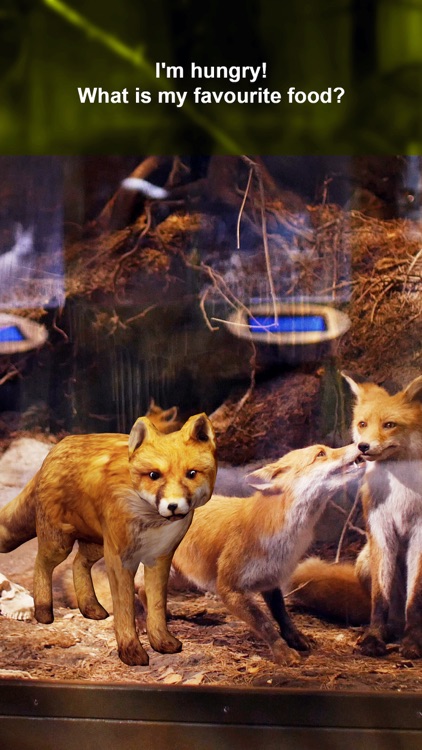 Nya Djur screenshot-4