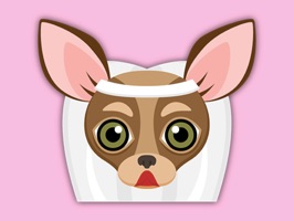 Chihuahuas have more color combos than any other puppy dog
