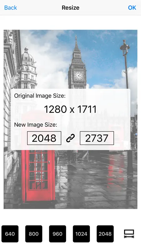Image Resizer Pro - image crop screenshot 1 of 2