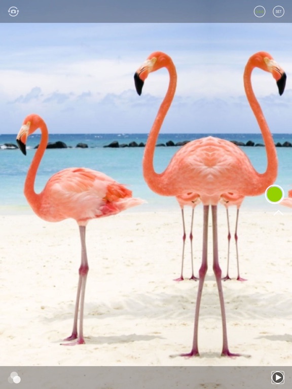 Screenshot #6 pour CamCool - Fun photo fx