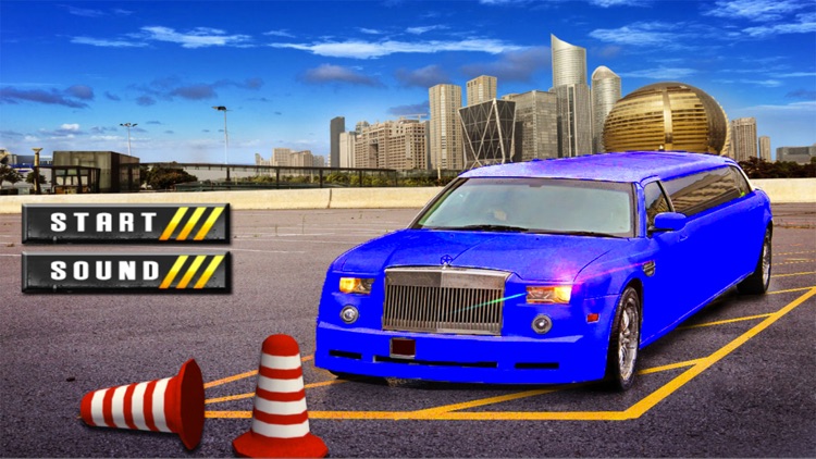 Multi-level New Limo Parking Fever