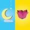 This is the best word guessing game