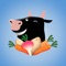 Veggoagogo is a fun and easy way to communicate your vegetarian dietary requirements almost anywhere in the world