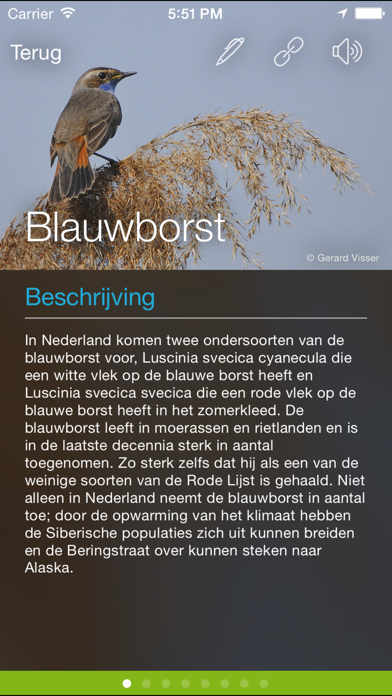 Vogels in Nederland Screenshot