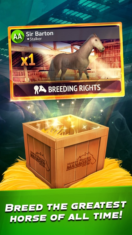 Horse Racing Manager 2018 screenshot-3