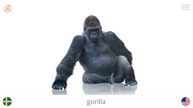 Play and Learn SWEDISH