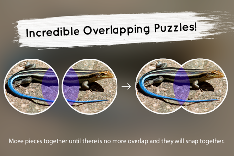 Venn Lizards: Jigsaw Puzzle screenshot 2