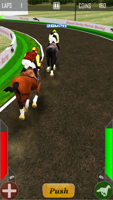 Royal Derby Horse Racing screenshot 2