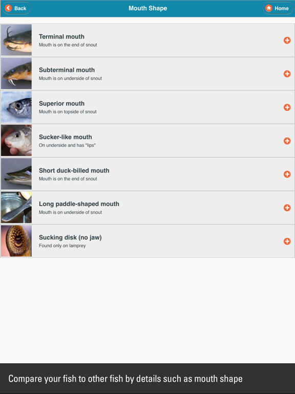 WI Fish ID iPad screenshot 3 - Education app