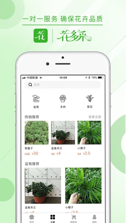 花多采 screenshot-4