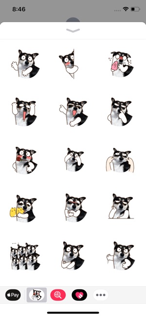 Maddy Husky - Fx Sticker(圖2)-速報App
