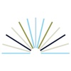 International Community School