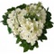 Send the best and freshest flowers to funeral homes on the go