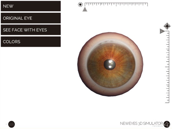Screenshot #6 pour NewEyes 3D Simulator