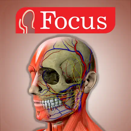 Head and Neck Читы