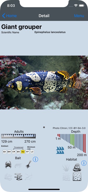 Fish & Bait(圖6)-速報App